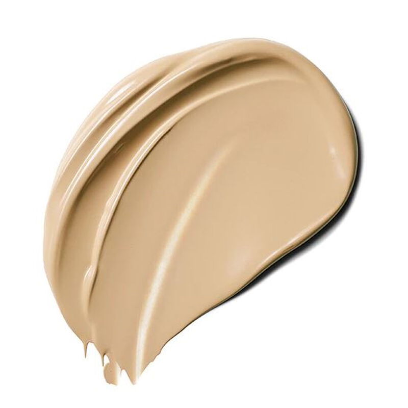 Estée Lauder Double Wear Maximum Cover Camouflage Makeup for Face and Body image number 13